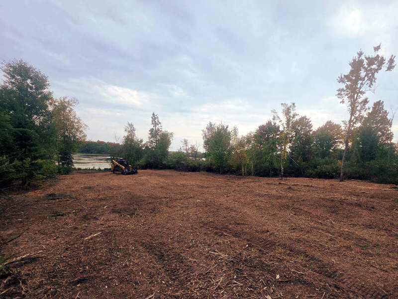 Forestry mulching process with heavy machinery